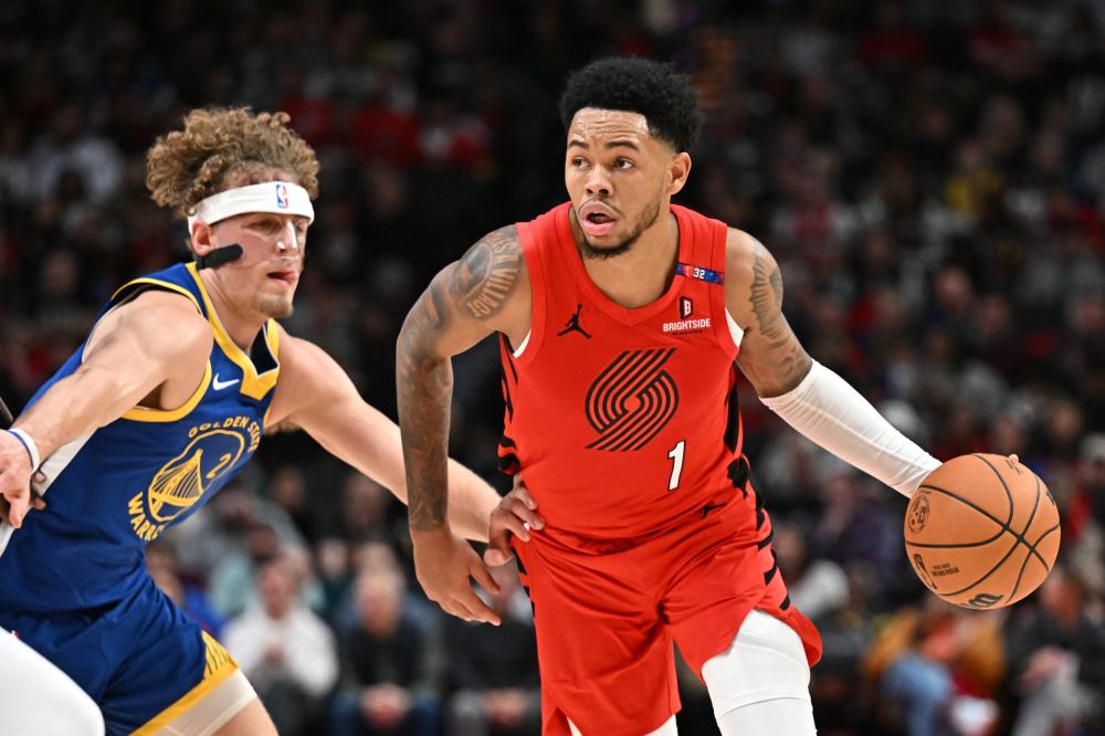 们提供了新 们提供了新