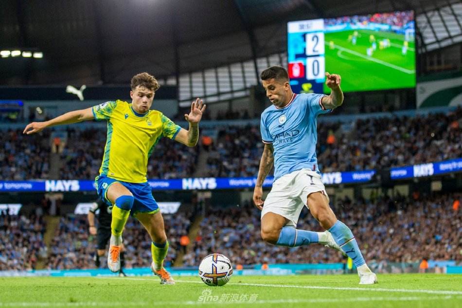 贡献更多体 贡献更多体